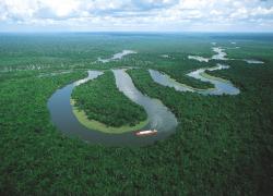 L'Amazonie veut atteindre l'indépendance énergétique grâce au solaire