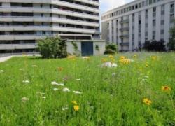 Une idée eco-responsable pour les copropriétés qui souhaitent valoriser des espaces collectifs.