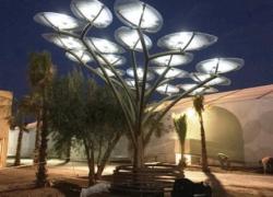 Marrakech : des arbres solaires pour recharger ses batteries