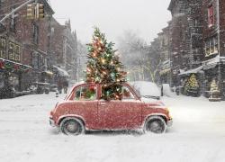 Où jeter son sapin de Noël ?