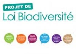 Projet de loi biodiversité : une nouvelle harmonie entre la nature et les humains