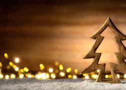 Un cadeau pour la planète, passez un Noël plus responsable